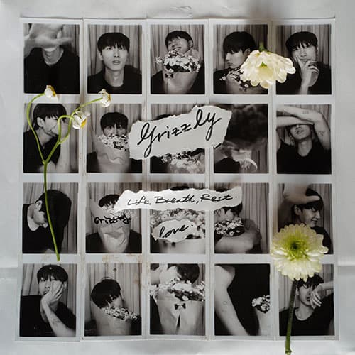 그리즐리 (Grizzly)